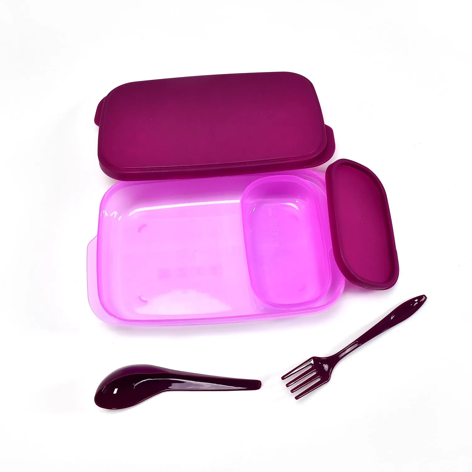 Unbreakable Divine Leak Proof Plastic Lunch Box Food Grade Plastic BPA-Free 2 Containers with Spoon