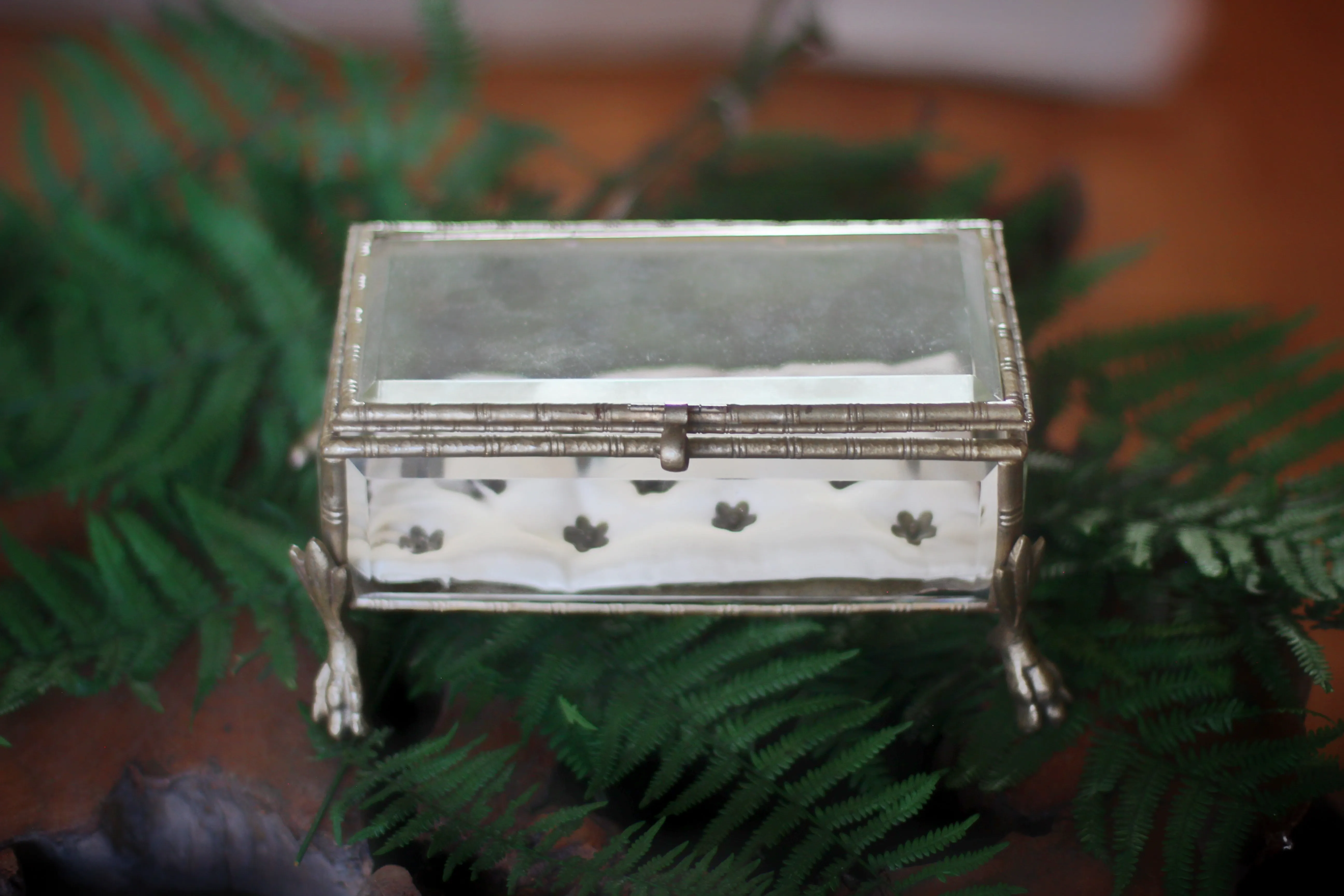 Vintage Claw Feet Platinum Jewelry Box